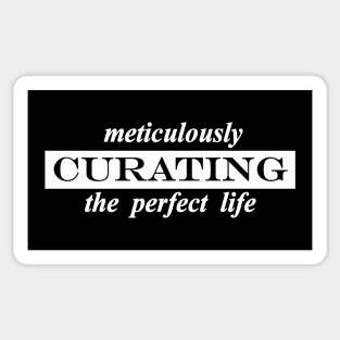 meticulously curating the perfect life Sticker